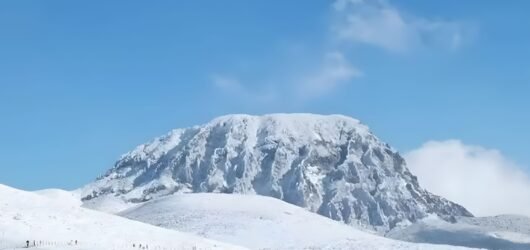 Jeju Island Winter Charm
