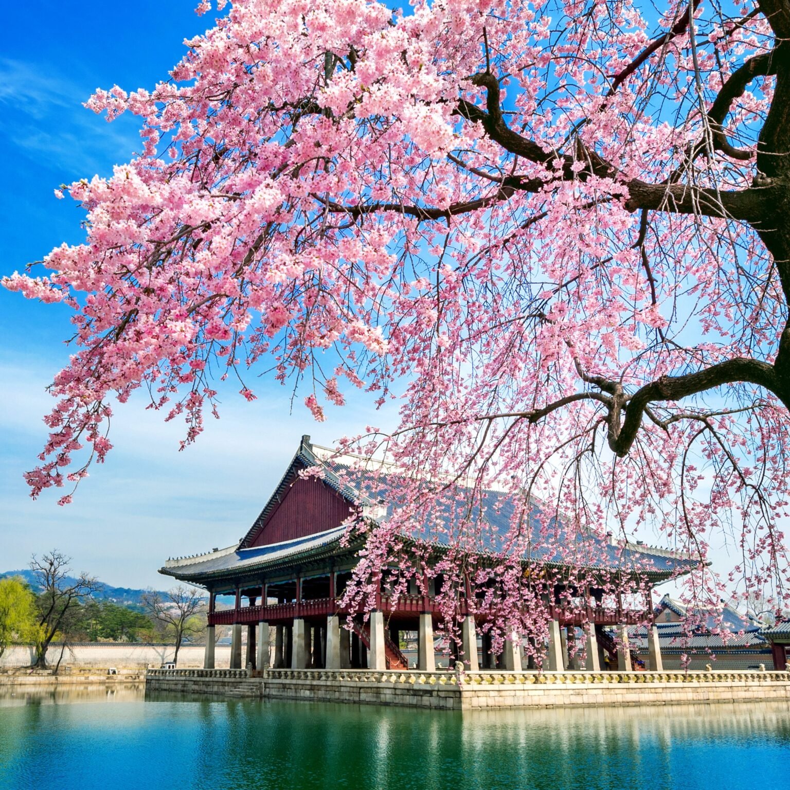 Tour in Korea – K-Pop News